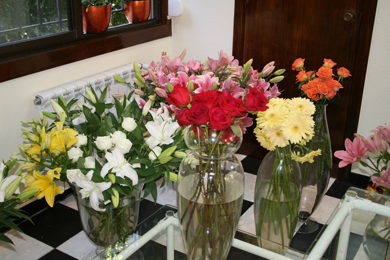 floresisteria_c1.jpg